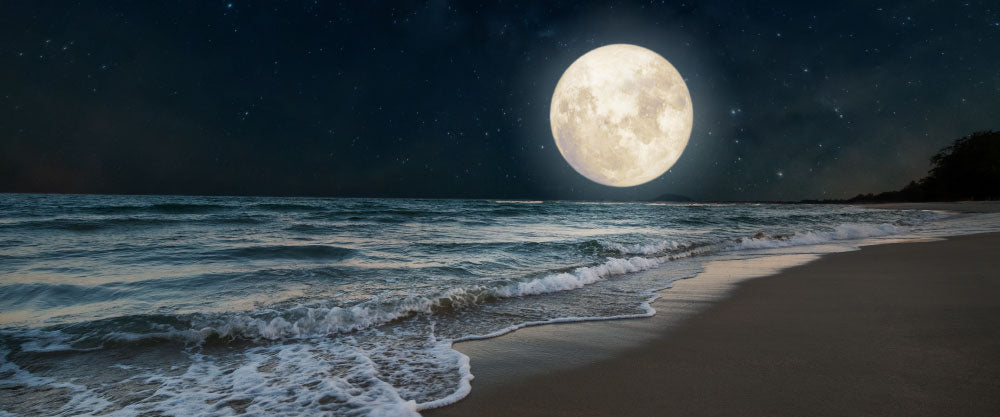 Solo Therapy Full Moon On The Beach