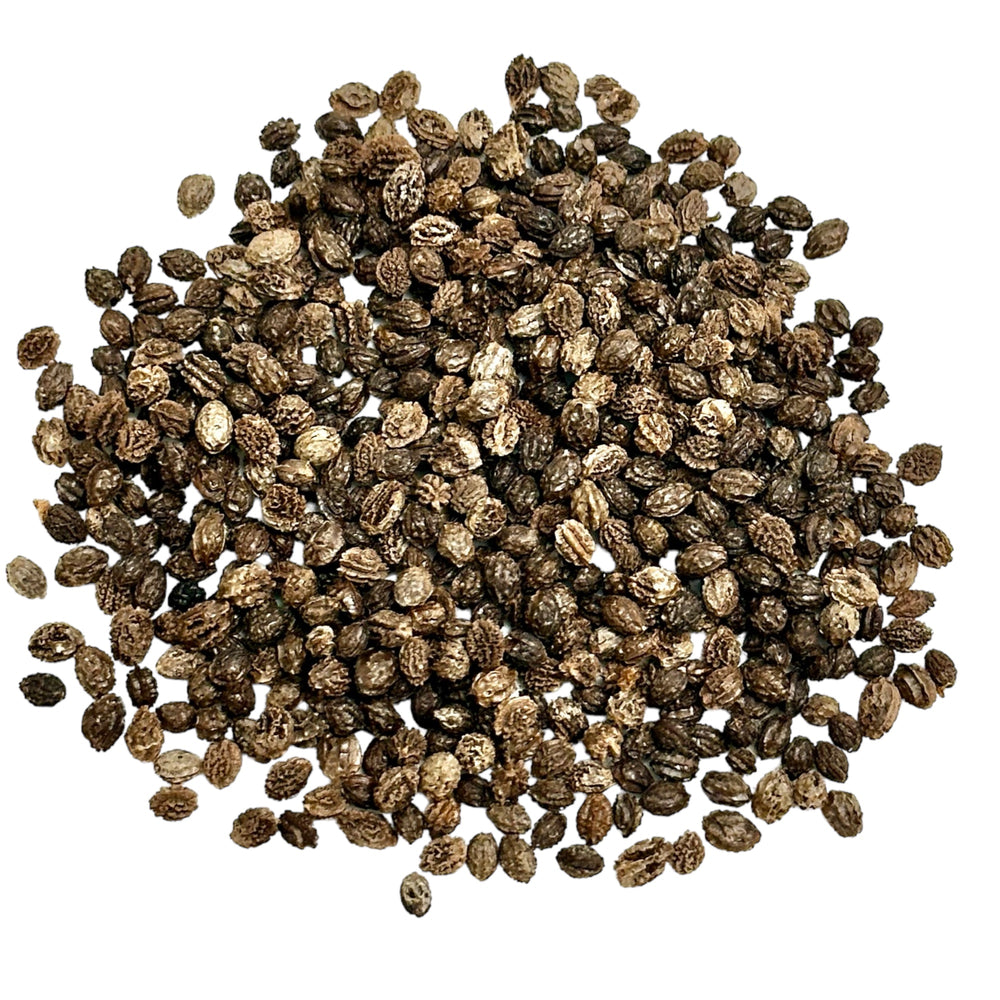 
                  
                    Papaya Seeds 28 grams - Dried Whole Seeds
                  
                