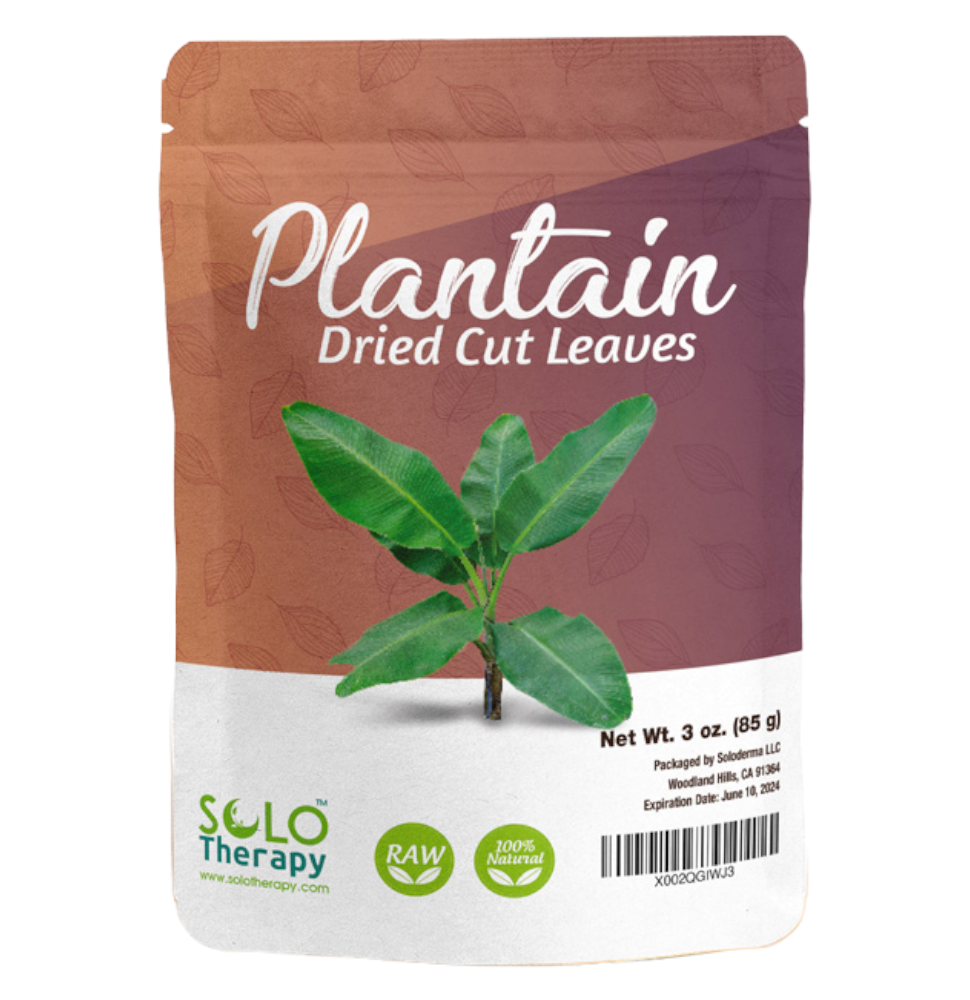 
                  
                    Plantain Dried Cut Leaves
                  
                