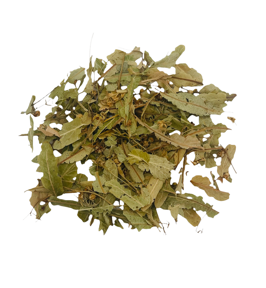 
                  
                    Linden Dried Whole Flowers and Leaves - 2 oz.
                  
                