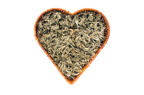
                  
                    Wormwood Dried Cut Herb Solo Therapy
                  
                